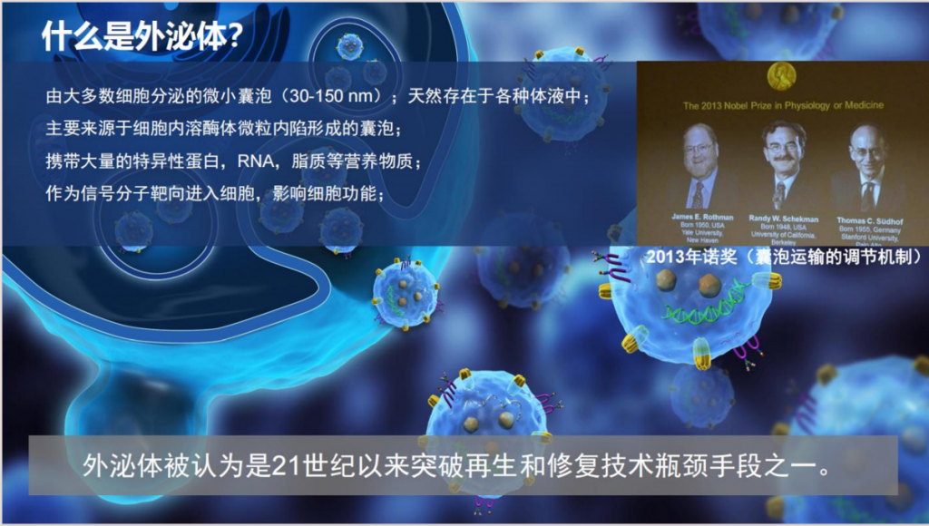 外泌体