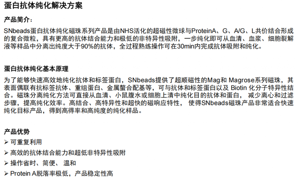 蛋白抗体纯化磁珠